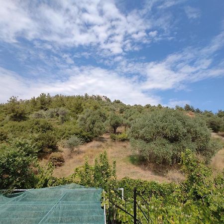 Elpida Apartment Limenas  Exterior photo