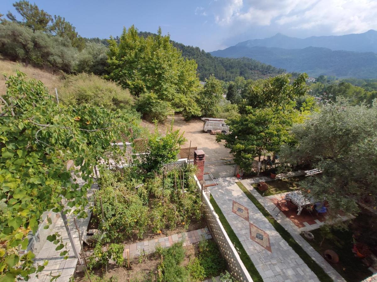 Elpida Apartment Limenas  Exterior photo